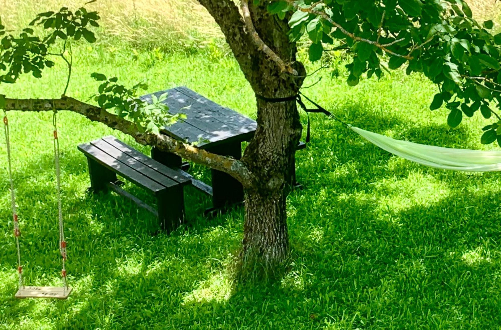 Wildernest Holiday Home Rakovica Exteriér fotografie